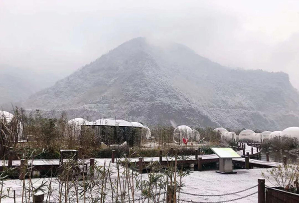 泡泡屋,泡泡屋帳篷,星空泡泡屋帳篷